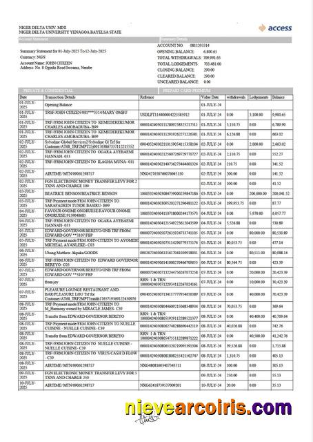 Nigeria Access Bank account statement Word and PDF